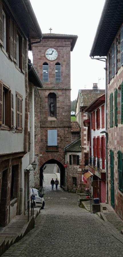 Saint Jean Pied De Port. Centre Ville. Rue Pietonne Luaran gambar